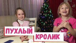 ПУХЛЫЙ КРОЛИК
