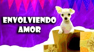 COMO ENVOLVER UN PERRO/COMO ENVOLVER REGALOS