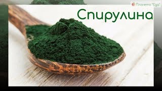 Спирулина. Полезные свойства. Отзывы. Где купить самую качественную, органик?