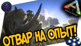 ARK: Survival Evolved - КАК СДЕЛАТЬ ОТВАР НА ОПЫТ? ОТВАР ПРОСВЕЩЕНИЯ!