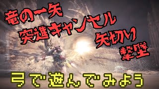 【MHW】切る！止める！射ち落とす！モンハン弓の道楽者
