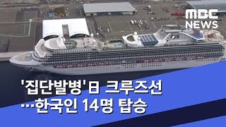 '집단발병'日 크루즈선…한국인 14명 탑승 (2020.02.08/뉴스투데이/MBC)