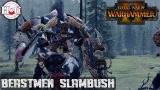 Beastmen Slambush - Total War Warhammer 2 - Online Battle 179