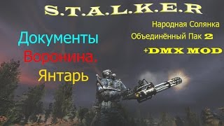 Документы Воронина. Янтарь
