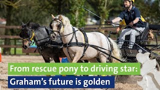 From rescue pony to driving star: Graham’s future is golden