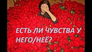 ЕСТЬ ЛИ ЧУВСТВА К ВАМ У ЗАГАДАННОГО ЧЕЛОВЕКА?/Онлайн гадание/Tarot