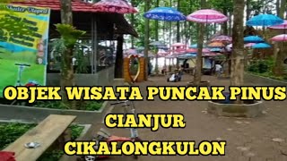 Wisata puncak pinus Cianjur cikalongkulon