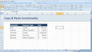 How to use basic Copy and Paste in Excel 2007 (Excel 07-018)