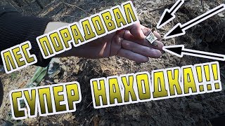 Поиск монет, ищем монеты в лесу с металоискателем фортуна про, коп 2019. #копUA