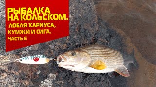 Рыбалка на Кольском. Ловля хариуса, кумжи и сига. Часть 6