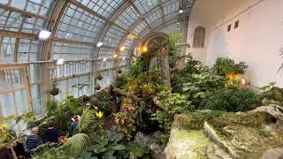 Schmetterlingshaus Wien