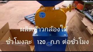 ข้าวกล้องและ ข้าวขาว.   021976927. 0868337737