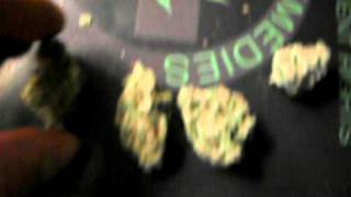 (Trip to the despencery) purple urkle X space queen X bubble hash