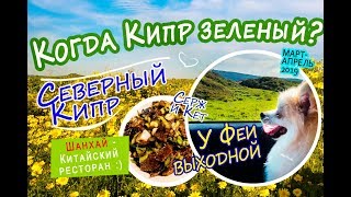 Северный Кипр - Шанхай - Китайский ресторан. Когда Кипр зеленый? У Феи выходной! - март, апрель 2019