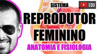 Sistema Reprodutor Feminino | Aparelho Reprodutor | Anatomia Humana - VideoAula 048
