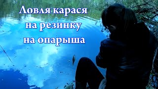 Ловля карася на резинку на опарыша Catching crucian on the maggots