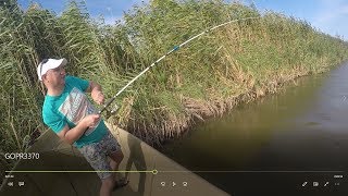 Рыбалка в Астрахани. Поехали на судака, а наловили сазана.