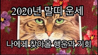 [타로]2020년 말띠운세/나에게 찾아올 행운과 기회