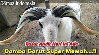 Update Dari Pasar Andir Garut Hari Ini