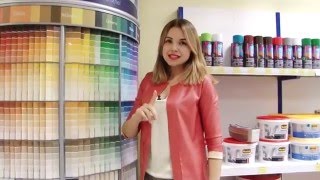 Модные оттенки в интерьере. Колеруем краску в цвет Селадон.
