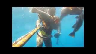 4 8 2014....B.ΚΡΗΤΗ    PATHOS pro spearfishing