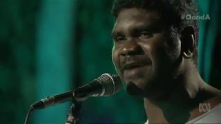Yirrmal: Spirit of Place - Live on Q&A | 7 August 2017