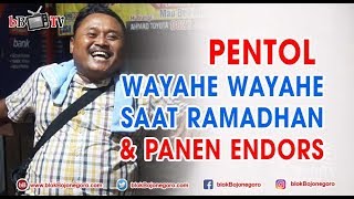 PENTOL WAYAHE WAYAHE SAAT RAMADHAN DAN PANEN ENDORS