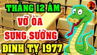 Tử Vi Tháng 12 ÂL Đinh Tỵ 1977 Đón Vận May Lớn, Trúng Lớn Liên Tiếp Rất Giàu