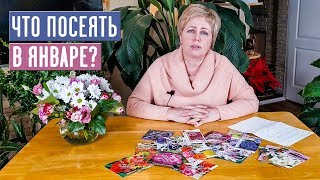 НАСТУПИЛ ПОСАДОЧНЫЙ СЕЗОН!!! ЧТО ПОСЕЯТЬ В ЯНВАРЕ? / Садовый гид садовый гид