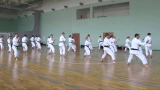 Junro NiDan Kata Asai Karate. Sensei Dormenko 7 Dan IJKA,  IJKA Russia training