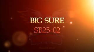 Фейерверк Big Sure SB25-02 | 25 выстрелов | 30 калибр - Планета Фейерверков