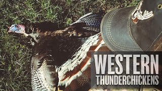 Hunting Western Thunder Chickens in Wyoming - A Black Hills Spring Turkey Hunt