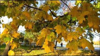 #Осень-пора любви Красивое осеннее слайд-шоу