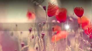 Fireflight - He Weeps (lyrics on screen)