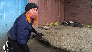 Спасение собак от злобной бабули!!!