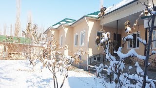 Мана Участкани #Дахшати вообще #Арзон  Тошкент #Бустонлик 10 хона 27 сотих