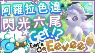 綠紙實況 NS 精靈寶可夢 Let's GO 皮卡丘、伊布 !【 Re :  Shiny Alolan Vulpix ! 異色 閃光 色違 阿羅拉 冰六尾 3684Get ! 】精華 (繁體中文)