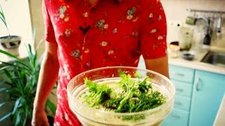 СЫРОЕДЕНИЕ. Рецепт сыроедческого морковно-кунжутного супа. Рекомендуем!