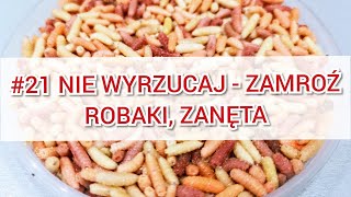 #21 Mrożenie zanęty, robaków, jockersa | Wędkowanie 24h