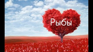 Рыбы день Святого Валентина