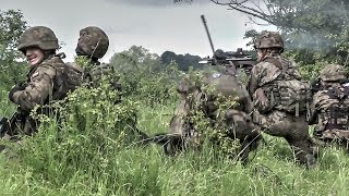Polish Army Ambush On Romanian Army