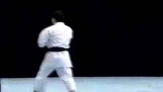 nipaipo shito ryu