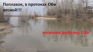 Весна, апрель, ветер, удочка, червячок или Рыбалка на Оби. (20.04.2014)