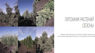 Питомник "СЕЗОНЫ" - питомники растений в Московской и Воронежской области.