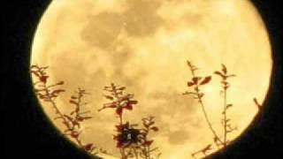 The Moon's a Harsh Mistress - Jimmy Webb