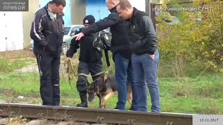 По горячим следам раскрыли убийство женщины