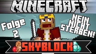 MINECRAFT: SKYBLOCK - Ich sehe.. AHHHHHHHHH! ★ Let's Play Minecraft: Skyblock #002