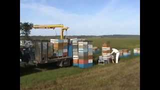2010. Frenchbeefarm. Система перевозки корпусов.
