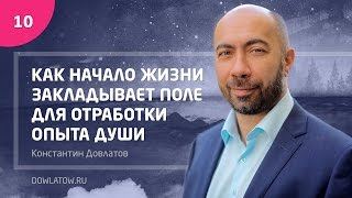 Как начало жизни закладывает поле, для отработки опыта Души