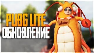 PUBG LITE - ОБНОВЛЕНИЕ! QBU и QBZ, Мотоцикл и Новые Скины!